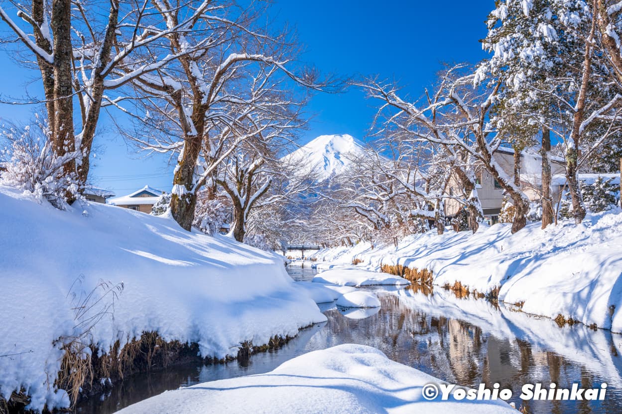 雪の富士山