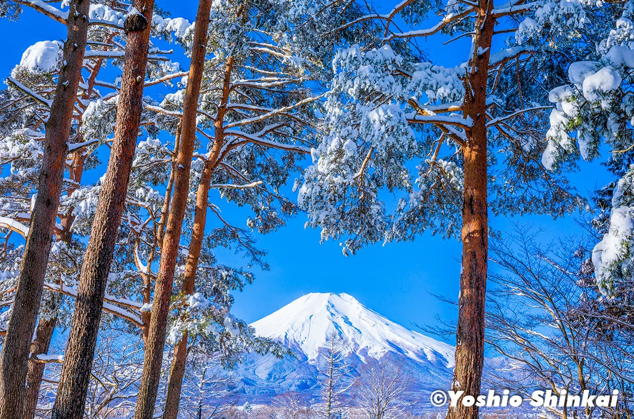 雪の富士山