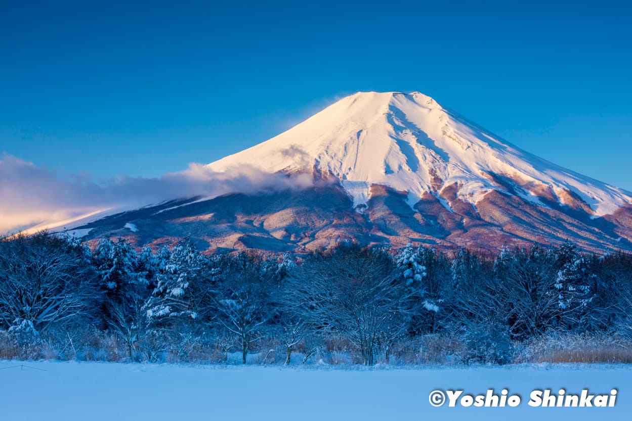 富士山