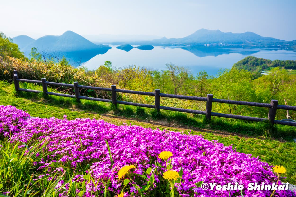 芝桜と洞爺湖