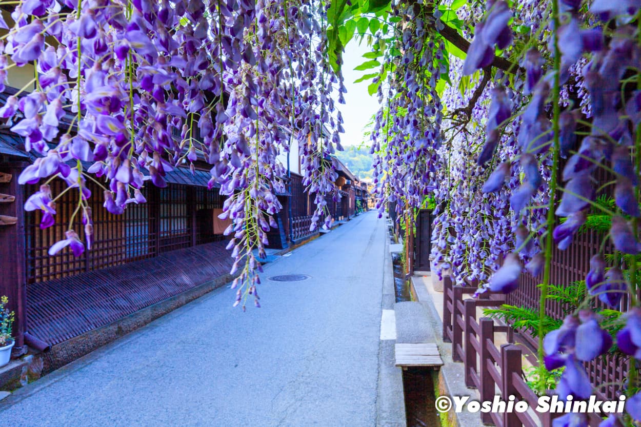 高山上三之町