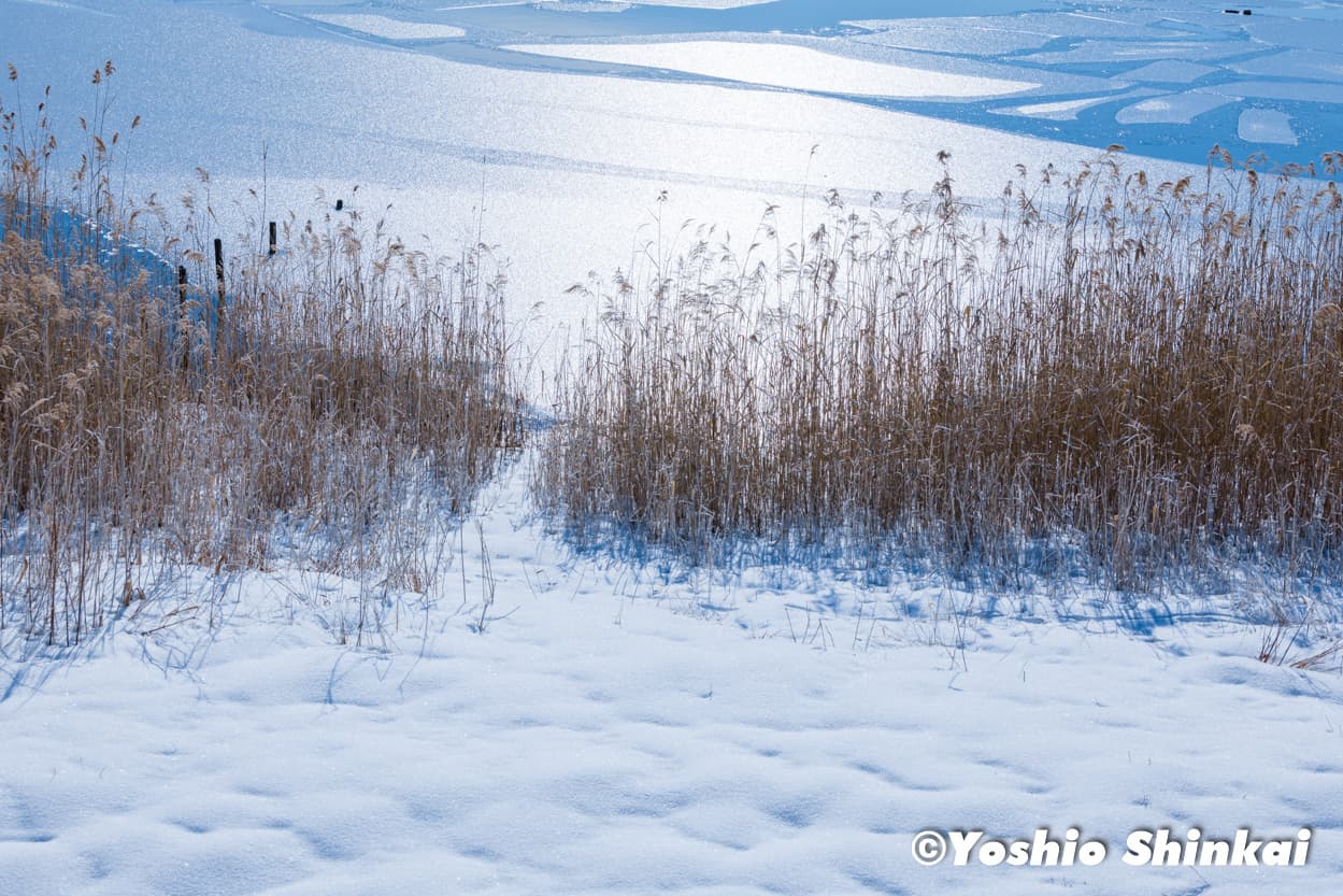 雪の河口湖