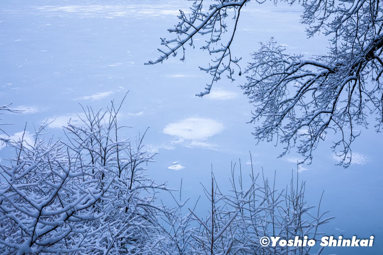 湖面の模様