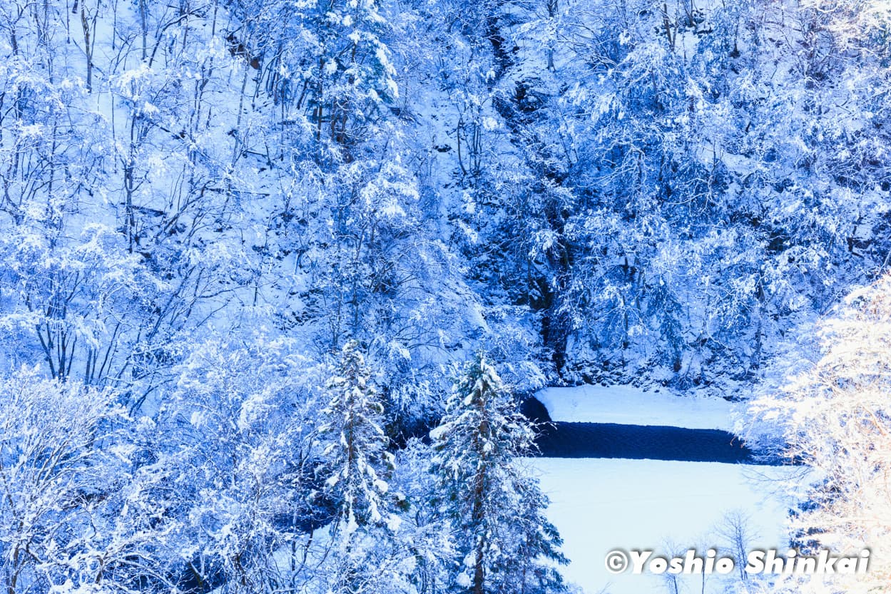 雪の多摩川