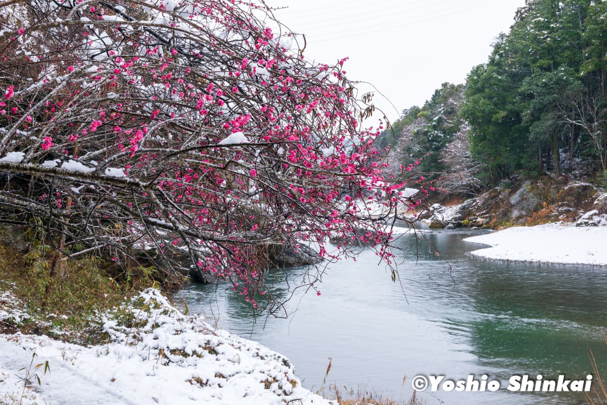 御岳渓谷