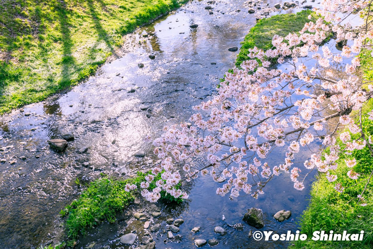 根川