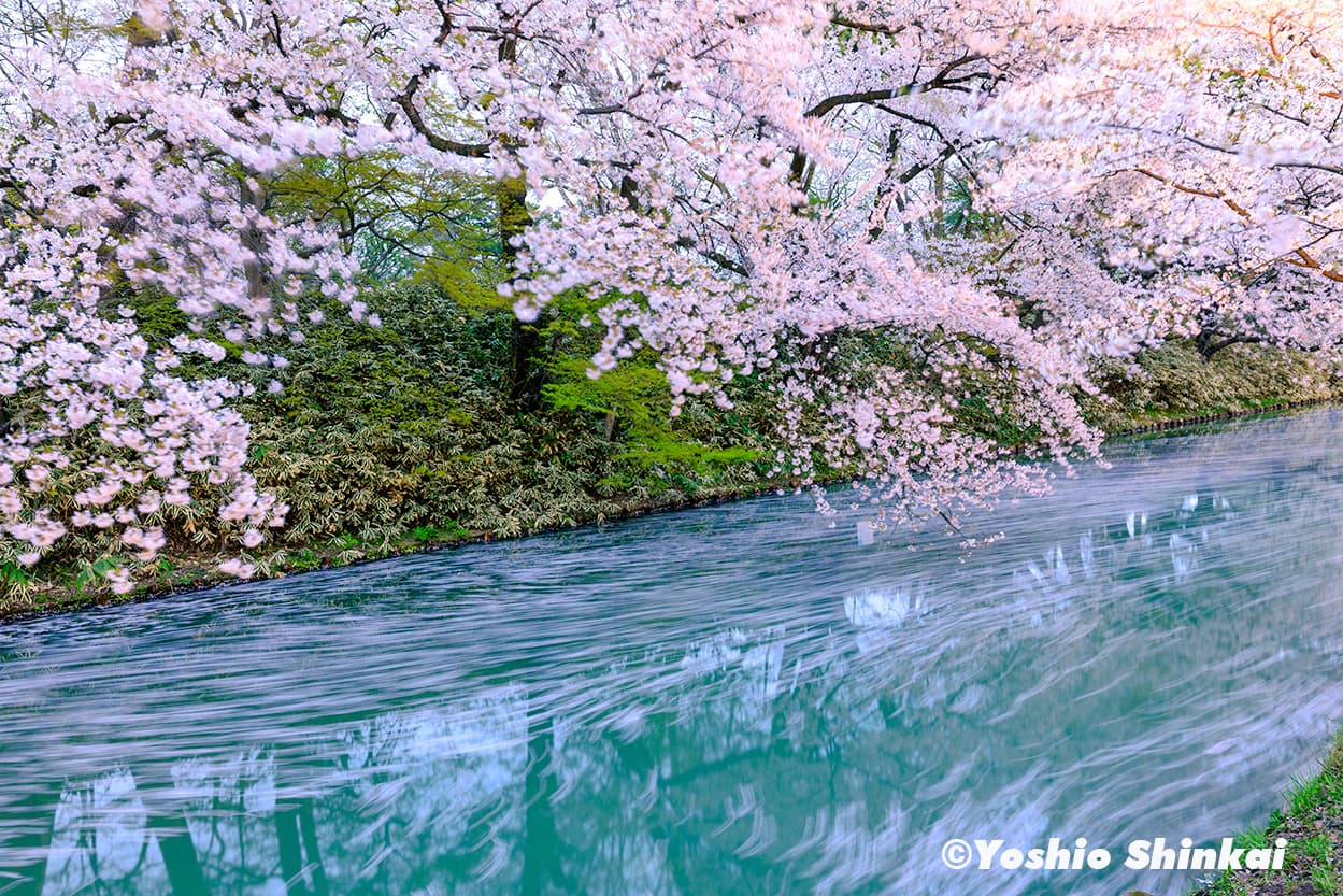 弘前城