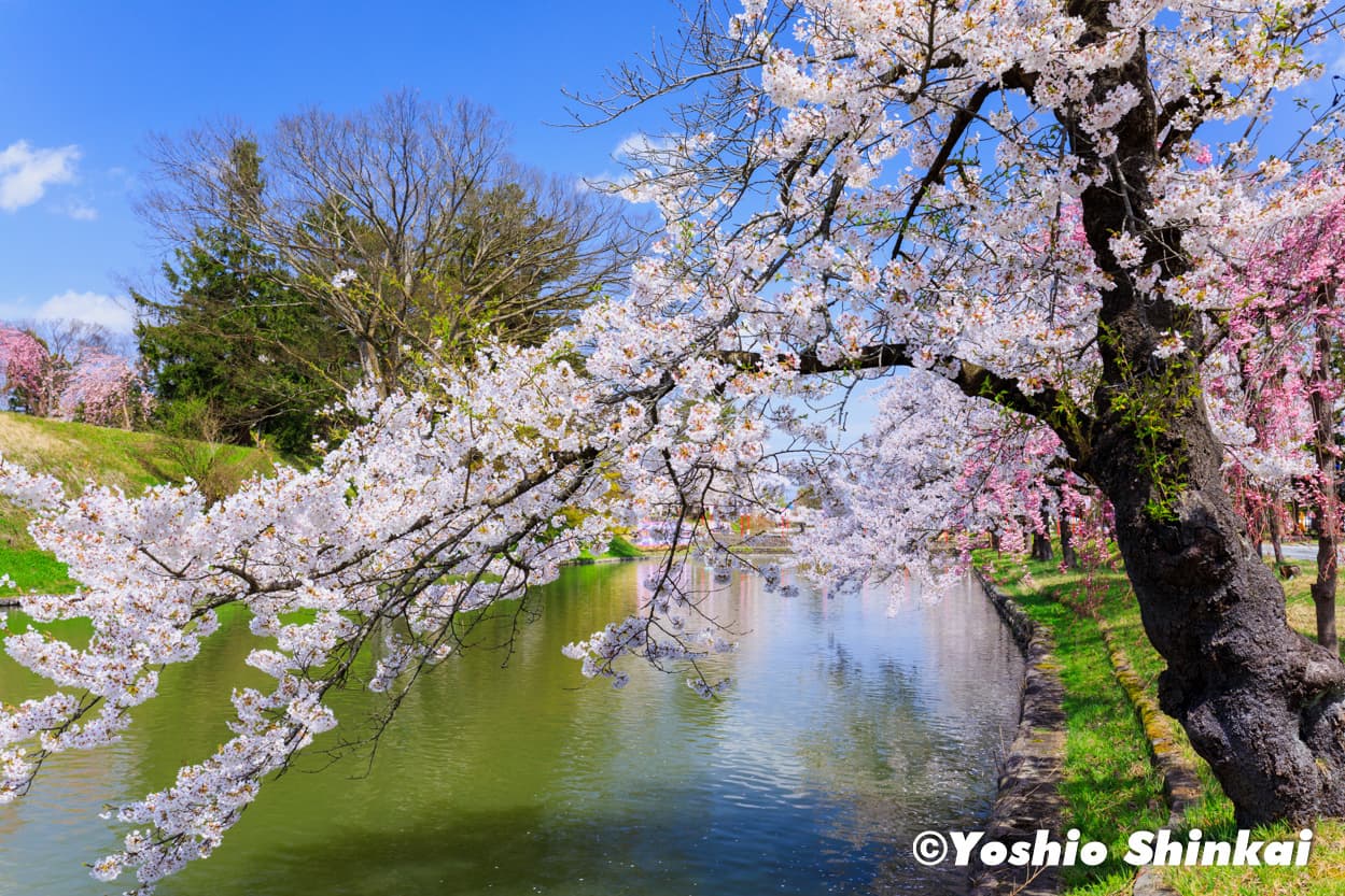 最上公園