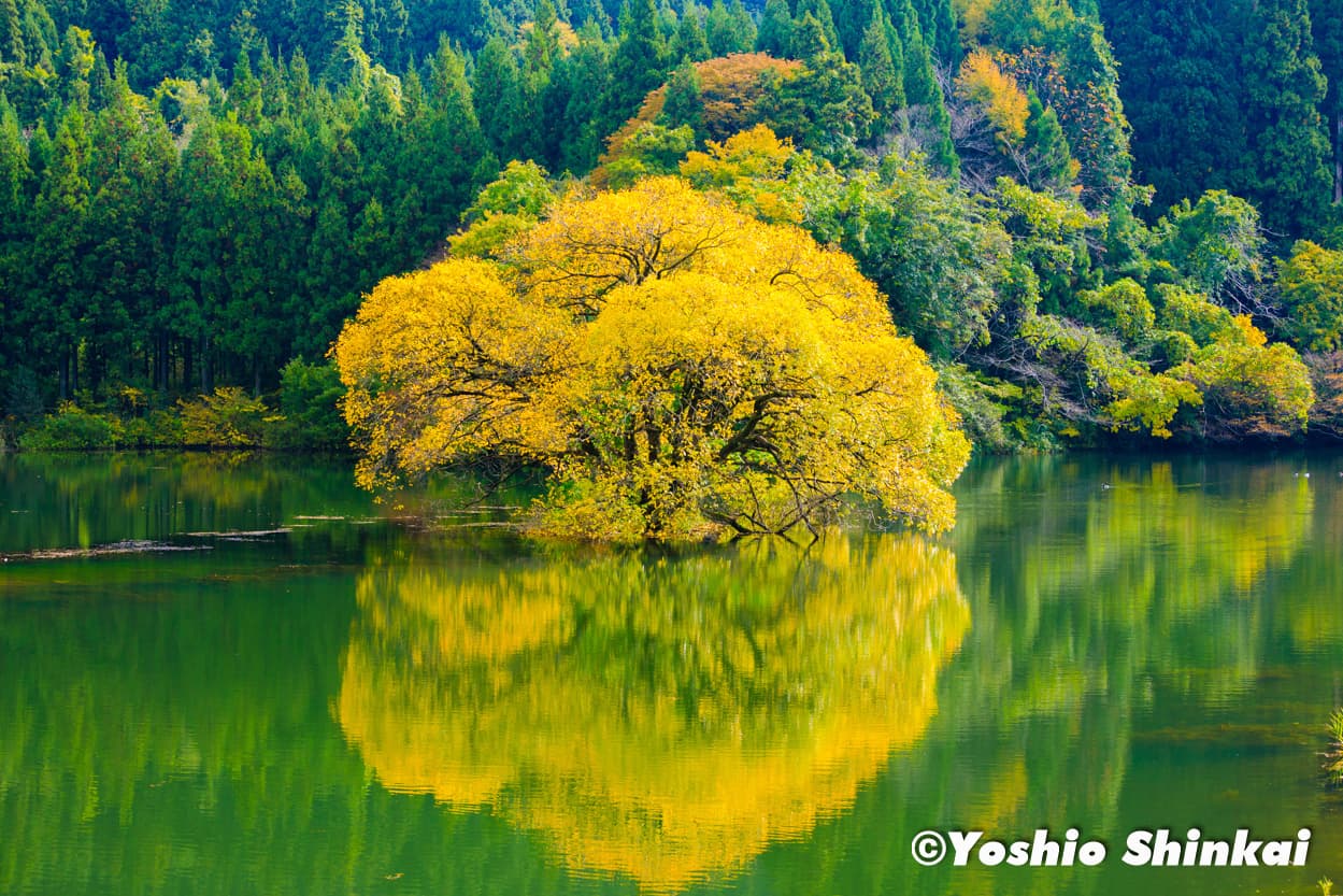 能登　蛇ヶ池