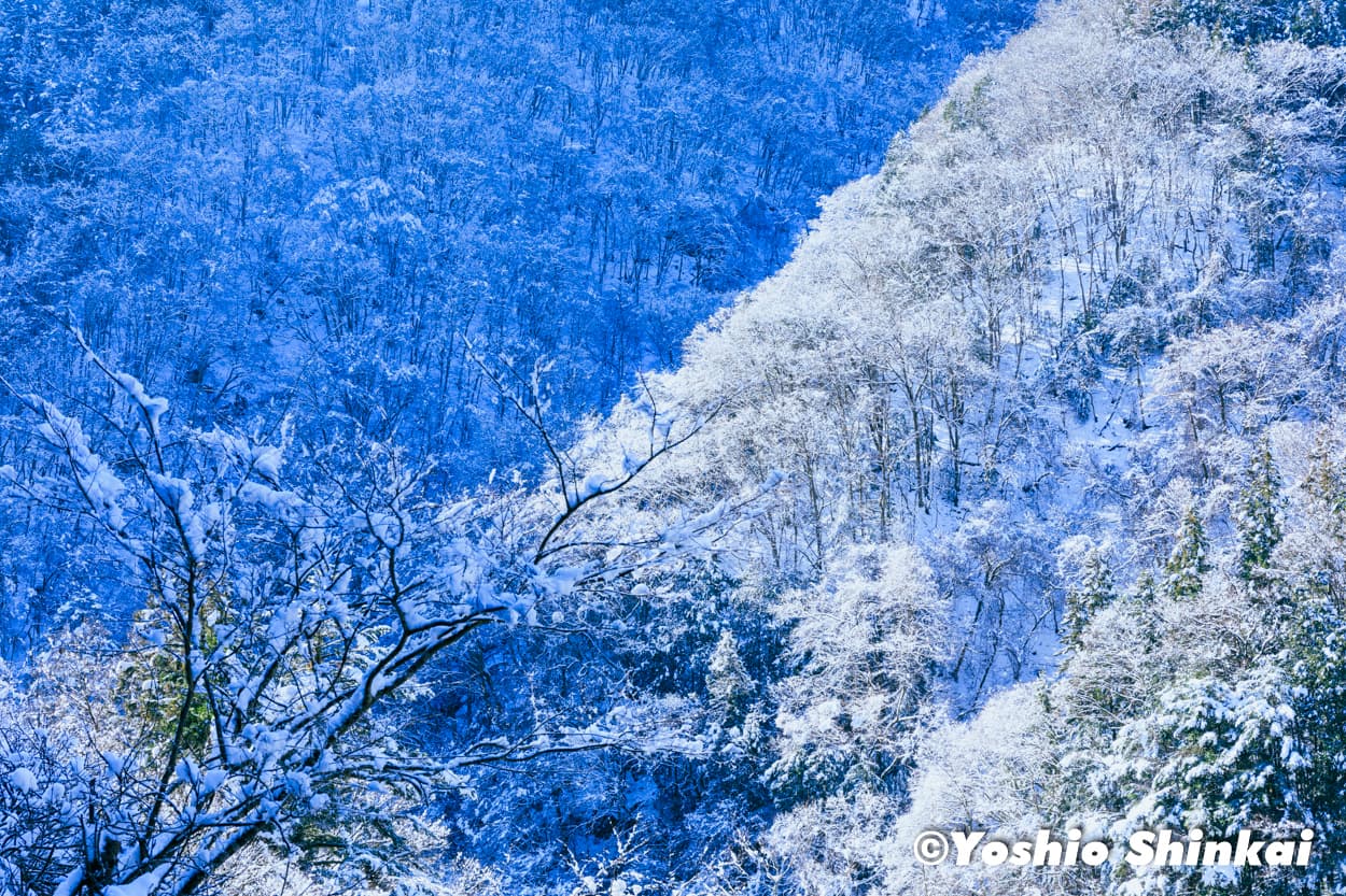 雪景色