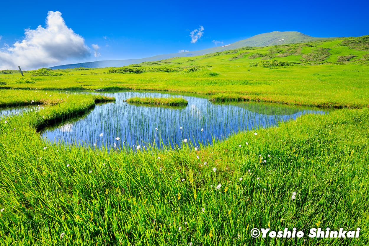 月山弥陀ヶ原