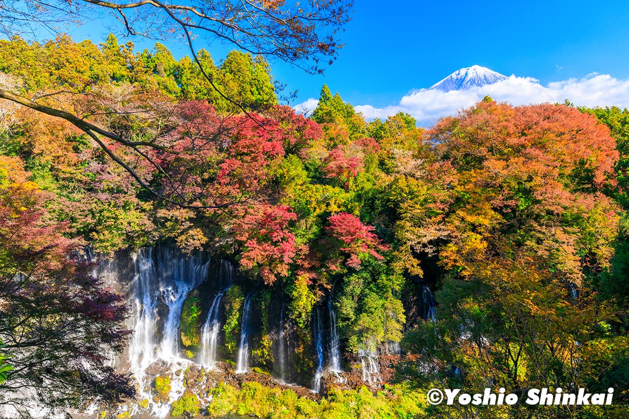 秋の白糸の滝