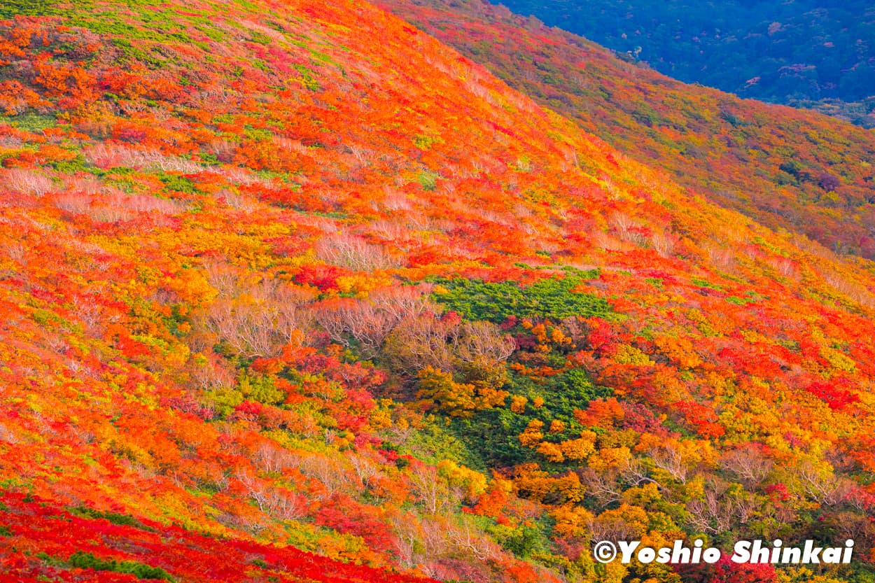 秋の栗駒山