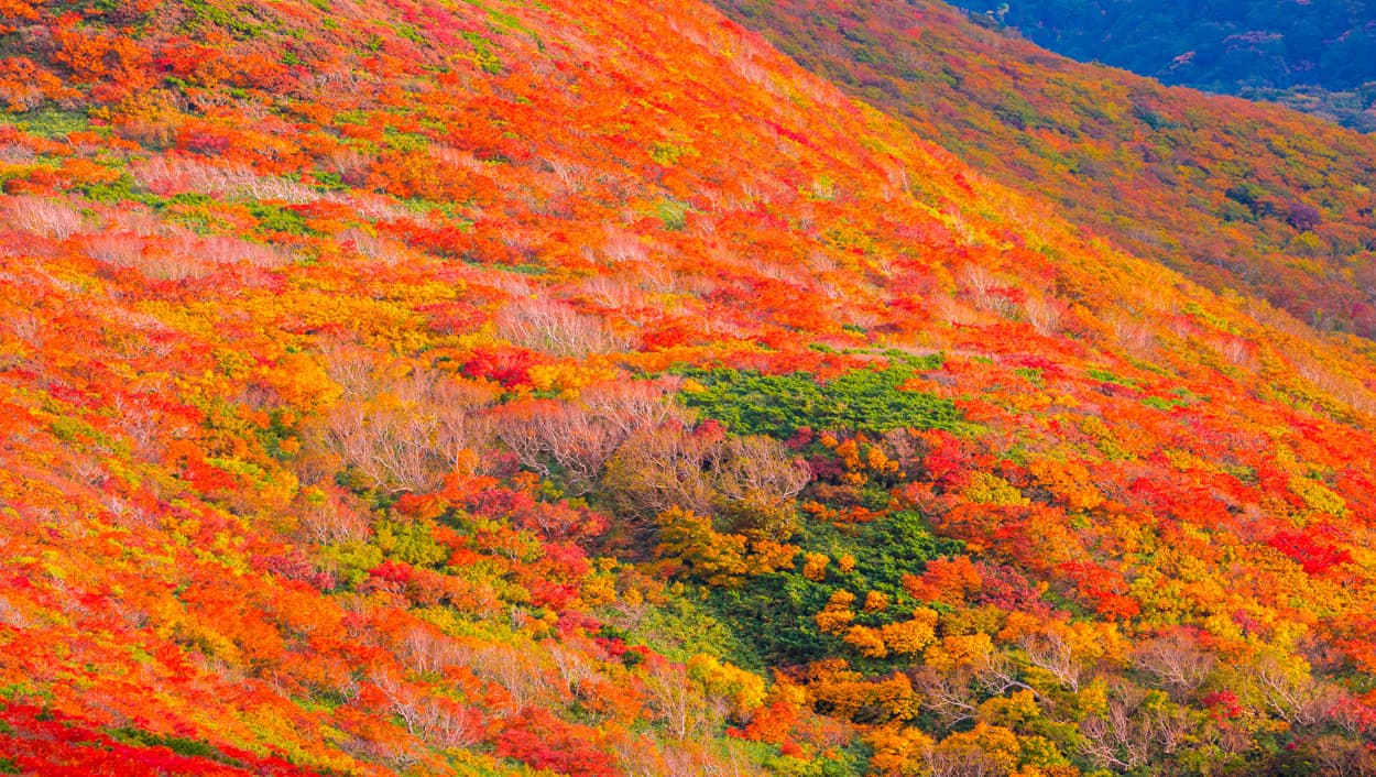 栗駒山