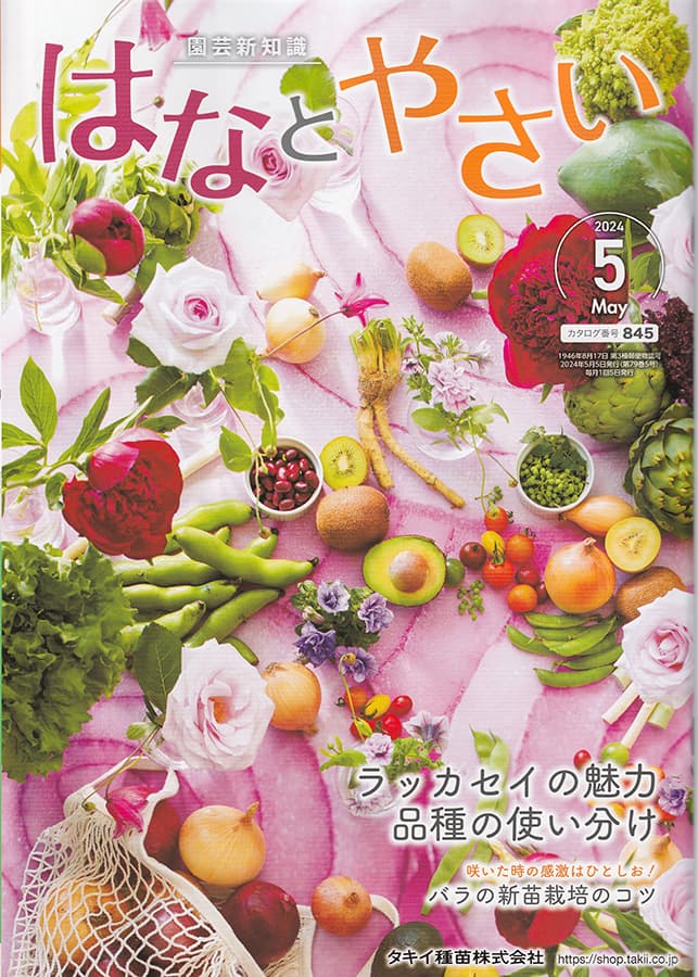 2024年5月号